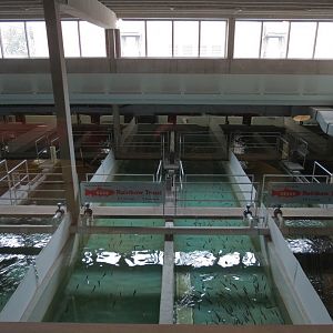 Sam Livingston Fish Hatchery - Overview