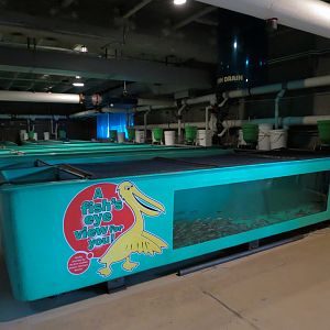 Sam Livingston Fish Hatchery