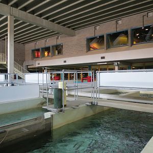 Sam Livingston Fish Hatchery