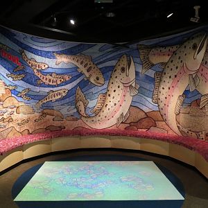 Fish Forever Gallery