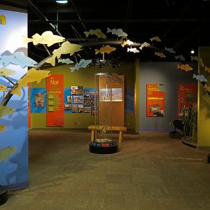 Fish Forever Gallery