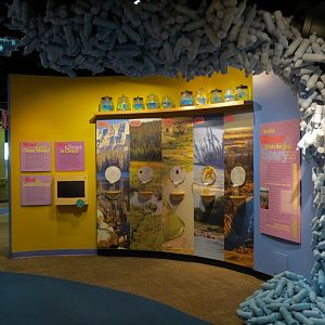 Water For Life Gallery