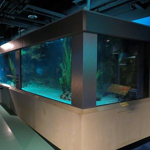 Aquarium - Second Pedestal Tank