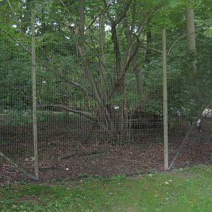 Rostock Zoo - Crane/muntjac exhibit