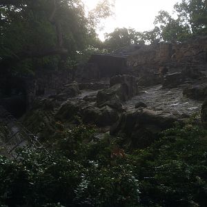 Himalayan tahr enclosure