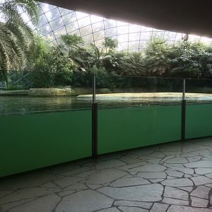Common hippo indoor area