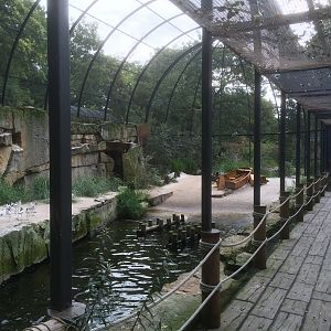 Seabird aviary