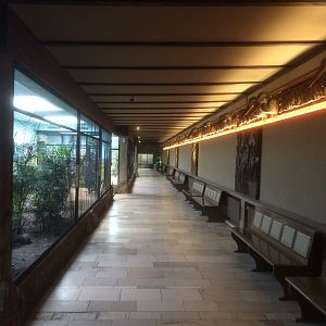 Inside the pheasantary