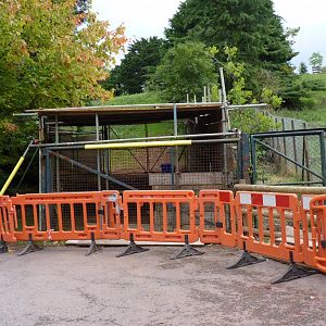 Kafue Flats Lechwe paddock, September 2017