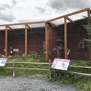 Newly renovated Bald Eagle and Great Horned Owl Exhibits.