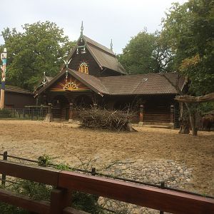 European bison house & enclosure