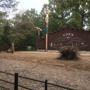 American house & enclosure