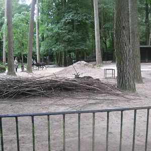 Rostock Zoo - Reindeer exhibit