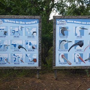 ID sign for large wading bird aviary 040817