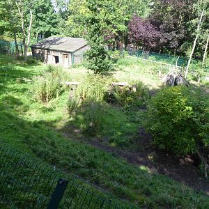 Iberian wolf enclosure 040817