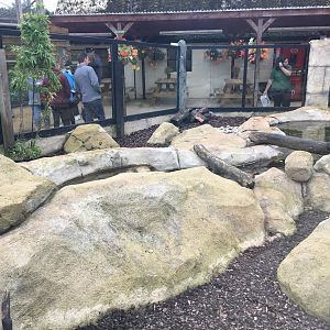 Asian small-clawed otter enclosure 100917