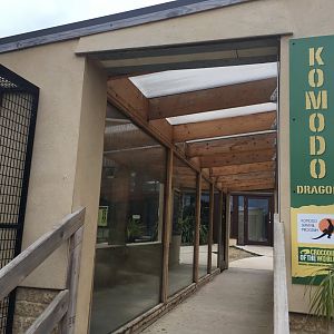 Komodo dragon exhibit 100917