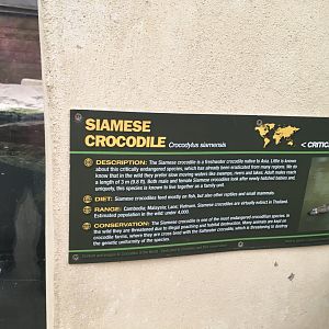 Signage example 100917