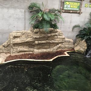 False gharial enclosure 100917