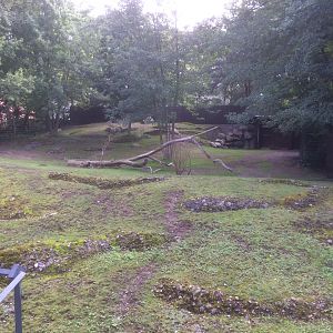 Former Japanese serow enclosure