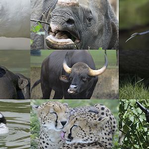 September Photo Quiz Expanded Images