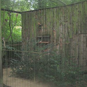 Rostock Zoo - Pigeon aviary