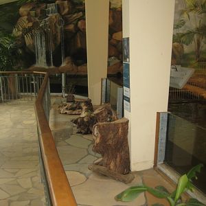 Rostock Zoo - Pygmy hippo house - General view