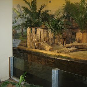 Rostock Zoo - Pygmy hippo house - Hippo exhibit