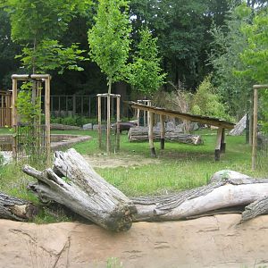 Rostock Zoo - Pygmy hippo exhibit