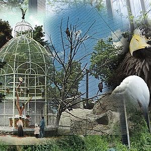 Eagle Eyrie Walkthrough