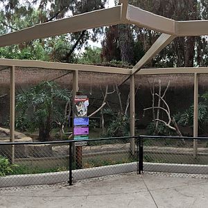 Refurbished ocelot exhibit