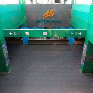 Entrance - Ticketing in Light Rail Station