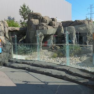 Penguin Plunge - Humboldt Penguin Exhibit