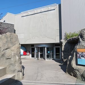 Penguin Plunge - Interior Exhibit Entry