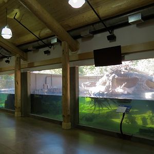 Canadian Wilds - River Otter Exhibits