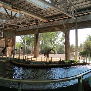 Destination Africa - Savanna Building Interior