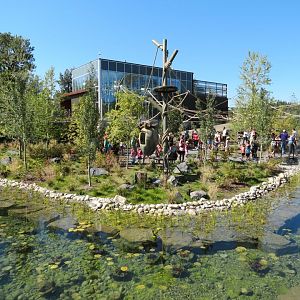 Destination Africa - Land of Lemurs - Walkthrough Exhibit