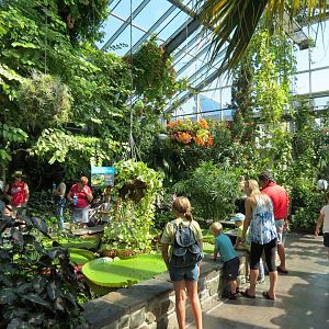 Dorothy Harvie Gardens - Conservatory - Garden Gallery with Butterflies Exhibit