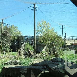 Eurasia - Snow Leopard Exhibit
