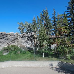 Eurasia - Red Panda Exhibit