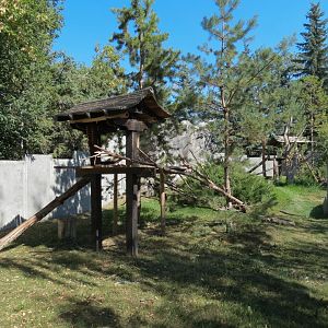 Eurasia - Red Panda Exhibit