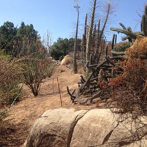 Walkabout Austarlia Site of New Path From Condor Ridge 2