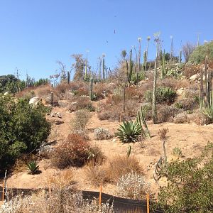 Walkabout Austarlia New Path From Condor Ridge Continued 4