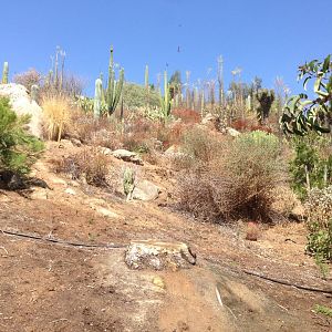 Walkabout Austarlia New Path From Condor Ridge Continued 5