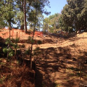 Walkabout Austarlia Adjacent to Parrot