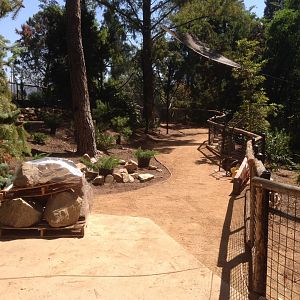 Walkabout Austarlia New Path Across From Snack Bar - Epiphyte Exhibit 2
