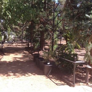 Walkabout Austarlia New Path Across From Snack Bar - Epiphyte Exhibit 1