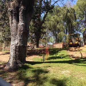 Walkabout Austarlia Near Snack Bar Angle 3