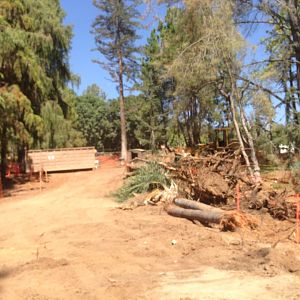 Walkabout Austarlia Near Artificial Tree Exhibit Angle 1