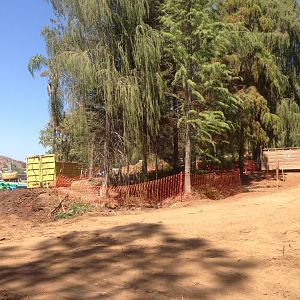 Walkabout Austarlia Near Artificial Tree Exhibit Angle 2